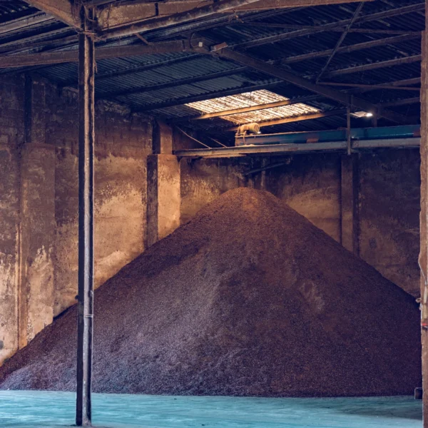 carob-factory-2025-04-03-19-37-26-utc